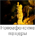  , . 55 